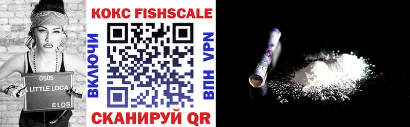 COCAIN Fish Scale  где можно купить наркотик  Ковдор 