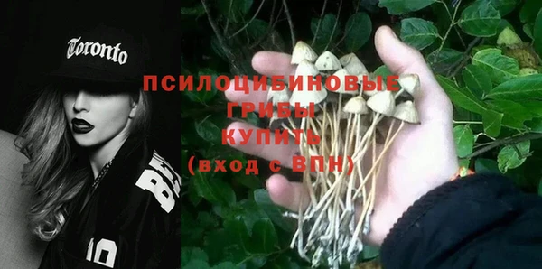 МДПВ Абинск