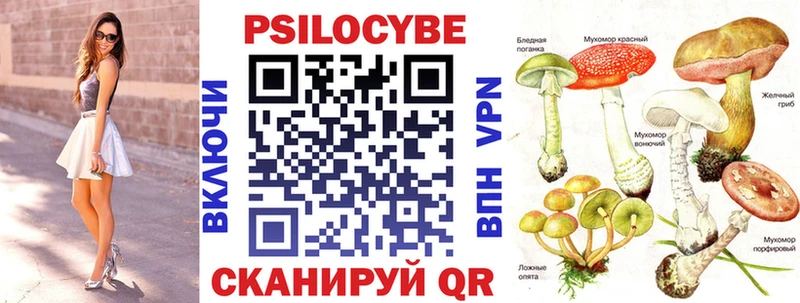 Псилоцибиновые грибы мицелий  ссылка на мегу ссылка  Ковдор 